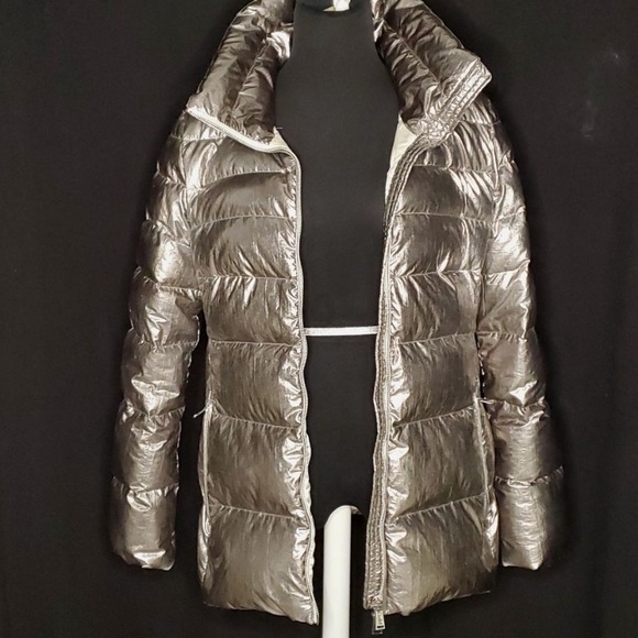 Silver puffer - Picture 2 of 7